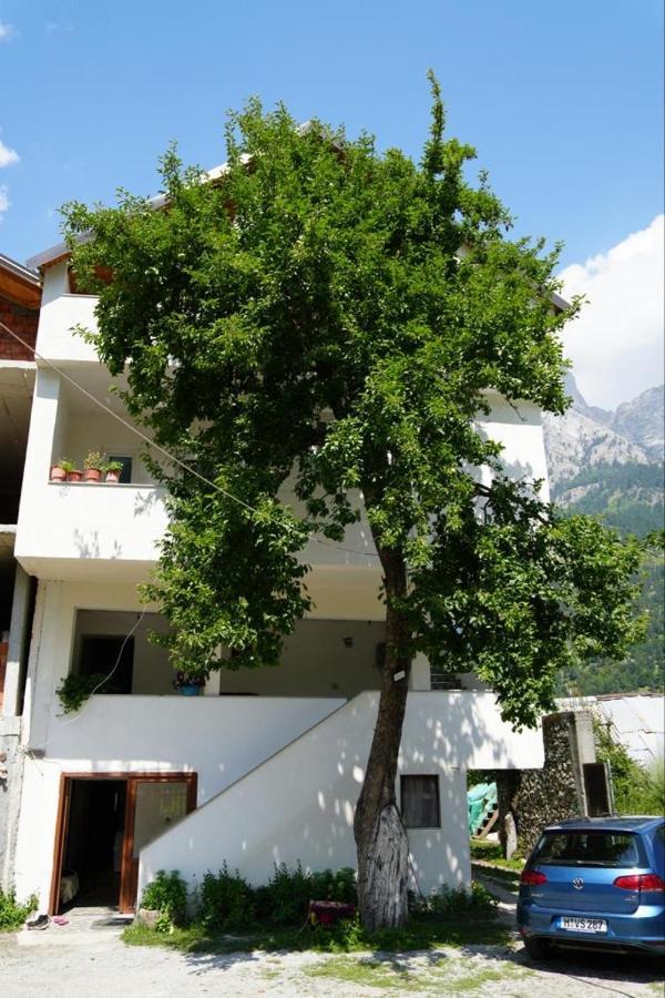 Guesthouse Skender Selimaj Valbone Dış mekan fotoğraf