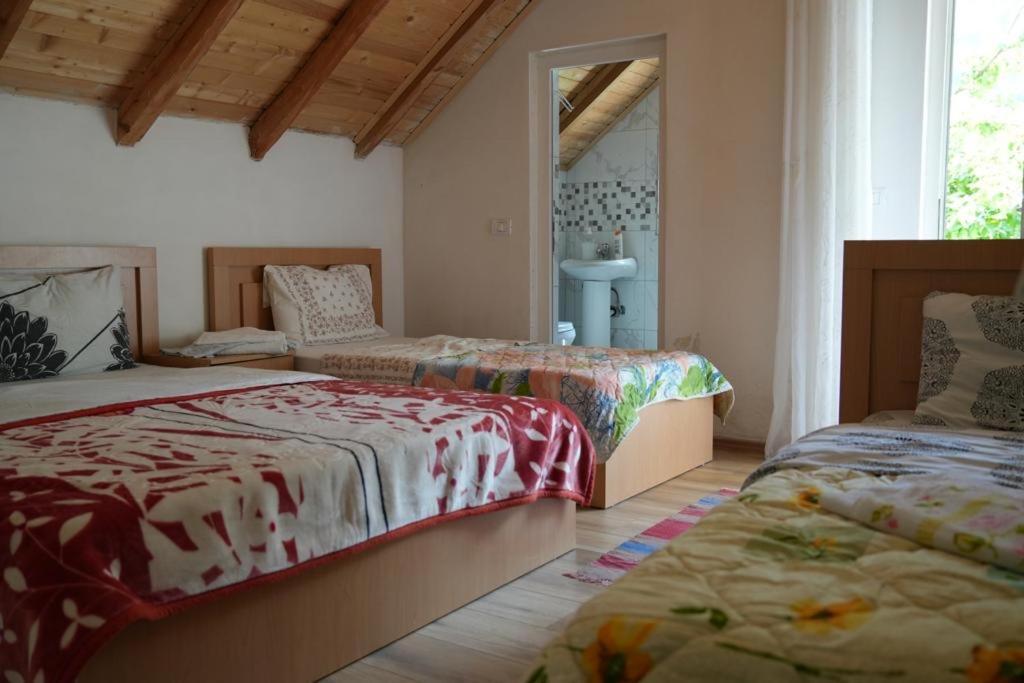 Guesthouse Skender Selimaj Valbone Dış mekan fotoğraf